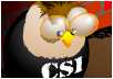 Bird CSI e card