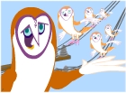 Gospel Owl Birthday