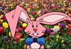 Talking Bunny