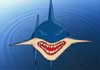 Talking Shark