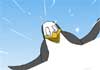 Penguin brother to brother Valentine