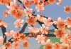 Happy Spring