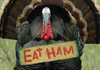 Thanksgiving Fun