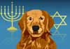 Talking Hanukah Retriever