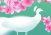 Eastern Garden Daily Blessing ecard