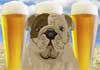 Talking Beer & Bulldog