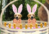 Golden Retrievers Easter
