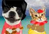 Hawaiian Doggie Fathers Day