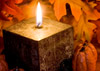 Thanksgiving Warm Wishes