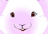 Bunny Kiss - Chinese New Year