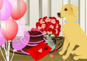 Valentine Puppies