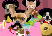 Mariachi Valentine
