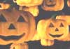 This Is Halloween
