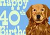 Talking 40th Birthday Retriever