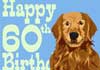 Talking 60th Birthday Retriever