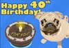 Talking 40th Birthday Pug