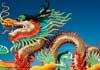 Year of the Dragon