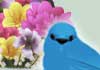 Bluebirds for Mom
