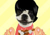 Hawaiian Doggie Fathers Day for Brother