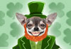 Irish Dancing Doggies