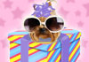Birthday Dancing Doggies for Friend