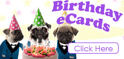 Birthday Ecards