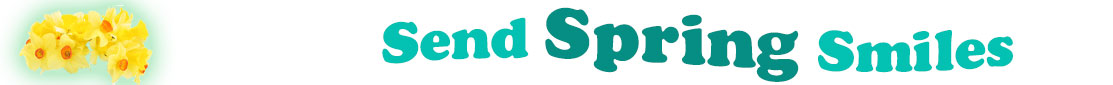 The banner image for this Spring ecards category has a group of 6 daffodil blossoms with a spring green aura around them. At the right of the cupcake are the following words "Send Spring Smiles" in two colors: aqua and dark blue green . The words are set in two curvy lines and on the first line is the word "send", then on the second line is the word "XXXCATEGORYXXX" and under is the word "Smiles". The words are set in a curvy line. The image is at the top of the Spring ecards page.