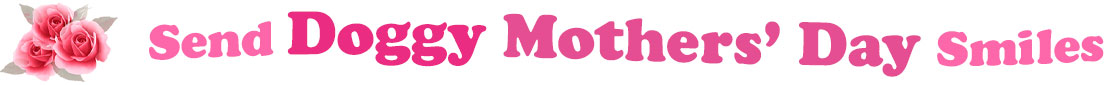 The banner image for this Doggy Mothers' Day ecards category has a cluster of three pink rose blossoms on the right side. At the right of the roses are the following words "Send Doggy Mothers' Day Smiles". The text is in 3 shades of pink. The words are set in two curvy lines and on the first line are the words "Send Doggy", then on the second line are the words "Mothers' Day" and under is the word "Smiles". The words are set in a curvy line. The image is at the top of the Doggy Mothers' Day ecards page.