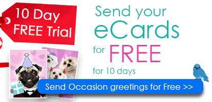 Free Trial