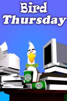 A disheveled seagull sitting at a desk stacked high with papers and before him,  a cup of Starbucks coffee. Above him the title of the ecard, "Bird Thursday"