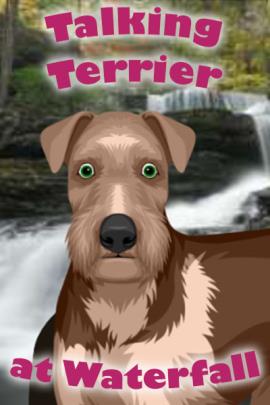 A brown dog looks at the viewer. Behind it there is a waterfall feeding into a rushing river.
