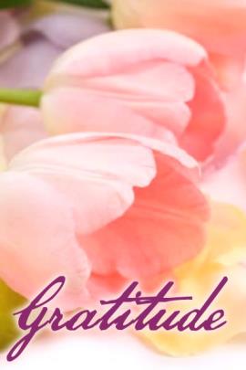 Gratitude