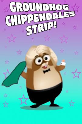 A groundhog throws off his parka to reveal an outfit similar to one that would be worn by a member of the all male group of strippers known as the Chippendales.