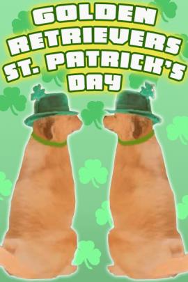 Two golden retrievers sit side by side, gazing at each other, and wearing green derby hats and collars.