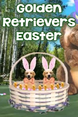 Golden Retrievers Easter