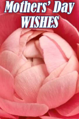 Mother's Day Wishes