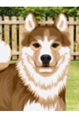 Talking Akita (Personalize)