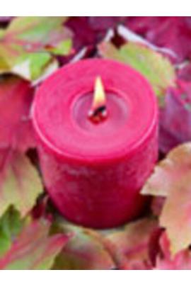 A Warm Thanksgiving for Mom