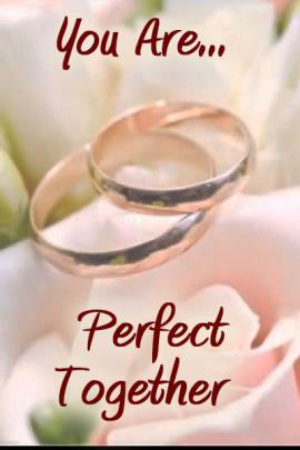Two wedding bands, nestled together in the middle of a rose blossom.