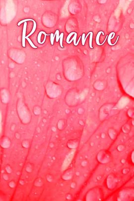 This Valentine's Day greeting card shows an extreme close up of a pink rose petal with drops of dew on it. At the top in cursive writing is the title, "Romance"
