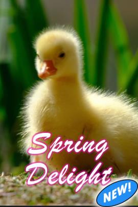 Spring Delight ecard