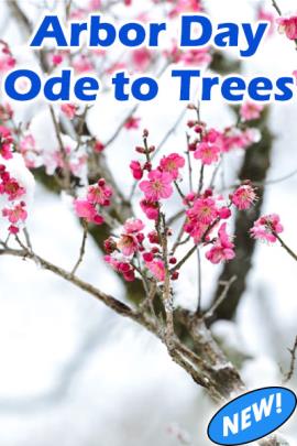 Arbor Day Ode to Trees