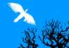 A bird prepares to land in a tree.