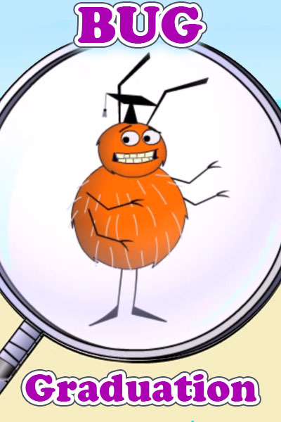 A fuzzy bug in a graduation cap.