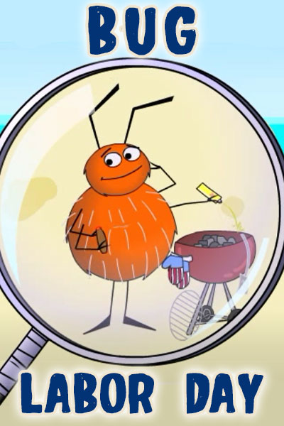 A magnifying glass shows the viewer a small brown spider, who is cooking food on a grill.