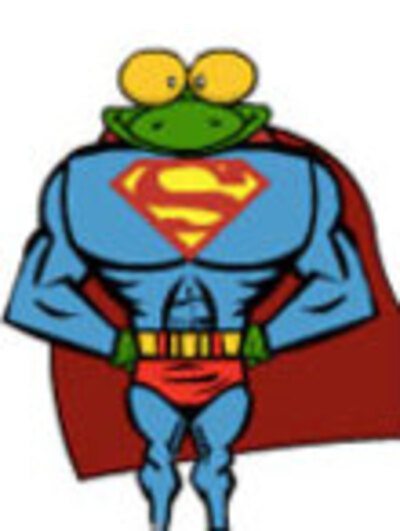 A gecko dressed as superman, in a blue and red superhero suit, with a large 'S' across it's muscular chest.