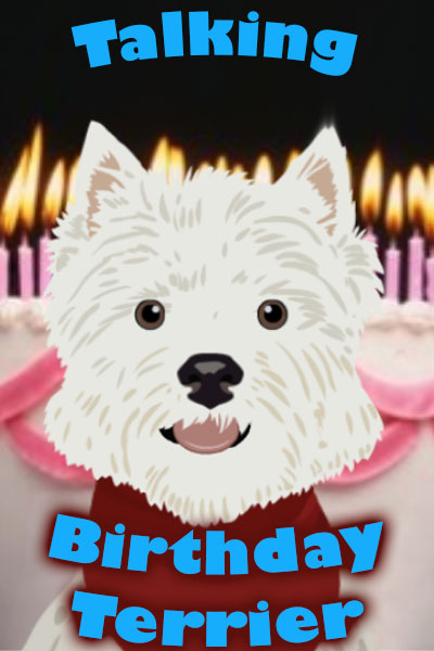 A white, West Highland terrier dog wearing a red bandanna. A line of lit birthday candles are in the background.