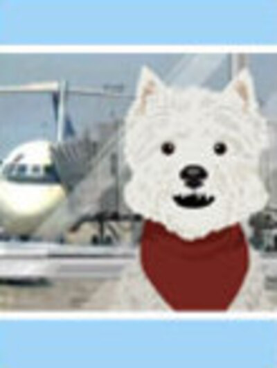 A westie dog with a red bandanna around its neck. There is an airplane in the background.