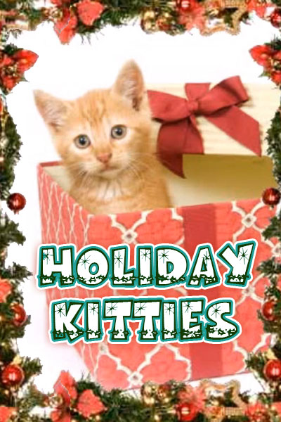 Three striped kittens in a basket that has a fun, holiday themed liner overlapping the edge.