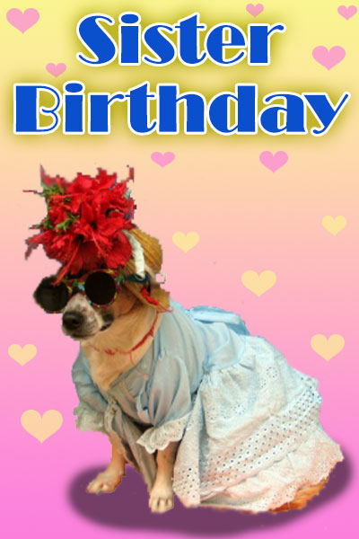 A dog, wearing a frilly party dress, sunglasses, and a hat with big, red flowers in the brim.